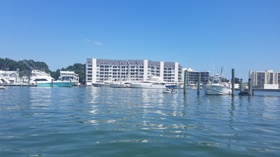 20190804_114842.jpg