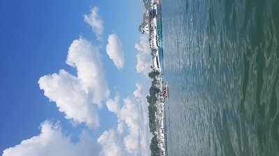 20190804_114830.jpg
