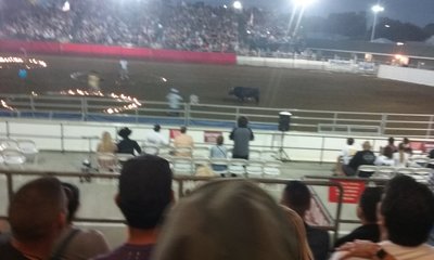 20190731_201206.jpg