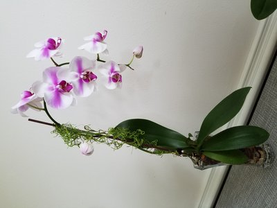 20190812_175036.jpg