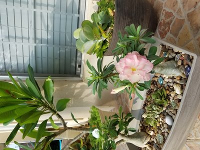 20190813_084329.jpg