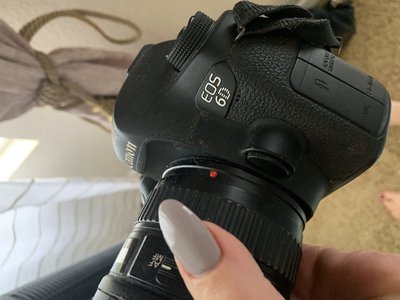 IMG_7986.jpeg
