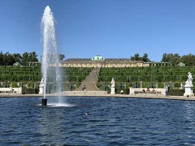 IMG_3519.JPG