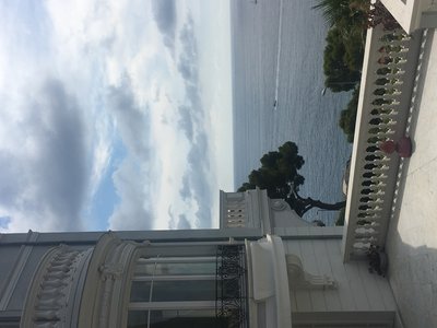 F5534265-2D53-46EC-B0C5-0D0A61233ED0.jpeg