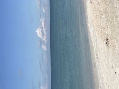 98852E45-9E78-42DF-93D1-E95B3629E24E.jpeg