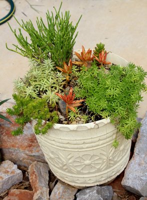 IMG_7472.JPG