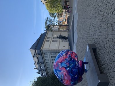 IMG_4385.JPG