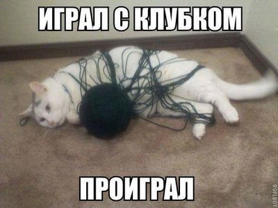 94D1403D-0ECF-4FBD-8BAC-A3E3817F7957.jpeg