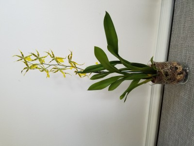 20190924_132002.jpg