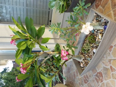 20190926_084611.jpg