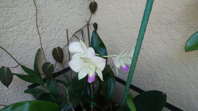 IMG-20191002-WA0000.jpg