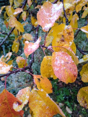 IMG_20191004_114456874.jpg