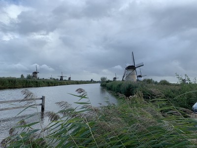 IMG_4772.JPG