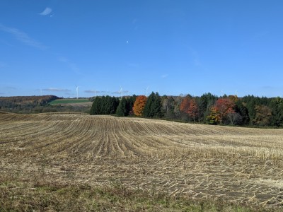 IMG_20191019_110501.jpg