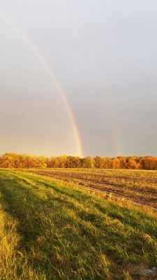 радуга3.jpg
