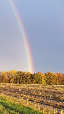 радуга2.jpg