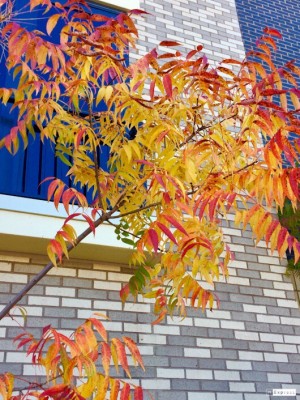 D8A26A46-EB64-4ED0-A1DE-E00960AA8F26.jpeg