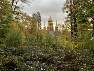 IMG_E5656.JPG