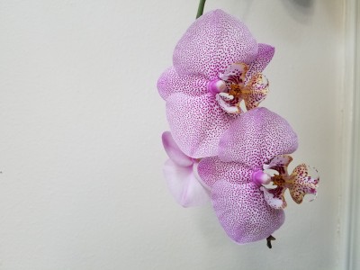 20191105_100507.jpg