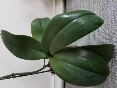 20191107_101443.jpg