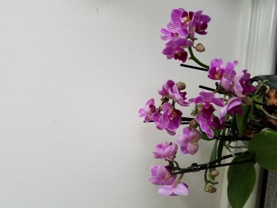 20191107_102038.jpg