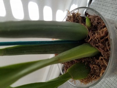 20191113_082204.jpg