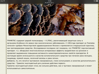 IMG_9248.PNG