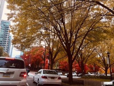 B7874395-7E3B-4F5B-A80B-824E5CD1EC87.jpeg