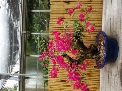 20191116_122009.jpg