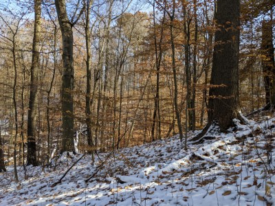 IMG_20191117_175832.jpg