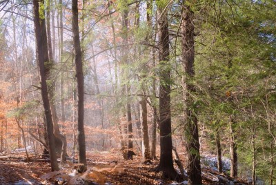 CVNP.JPG