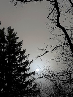 20191121_094325.jpg
