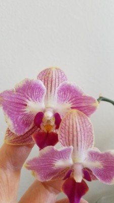 20191126_105536.jpg
