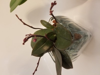 20191206_080137.jpg