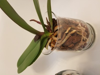 20191206_080146.jpg