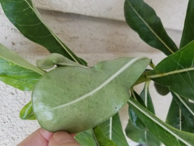 20191206_134453.jpg
