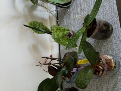 20191215_131929.jpg