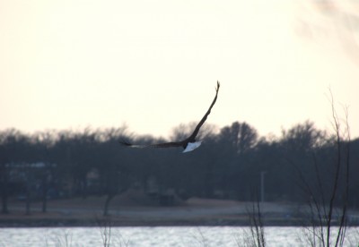 IMG_1284.JPG