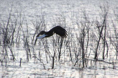 IMG_1282.JPG