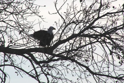 IMG_1281.JPG