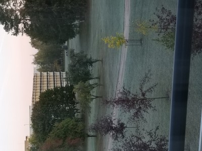20190924_071715.jpg