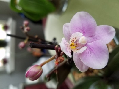 20191221_101154.jpg