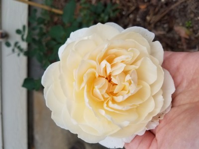 20191221_120748.jpg