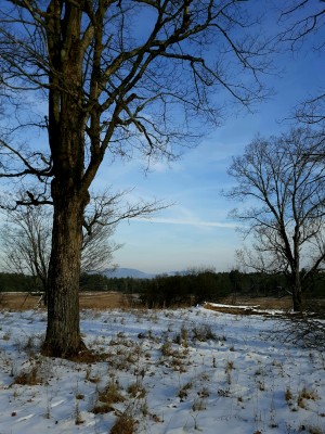 20191224_122615.jpg