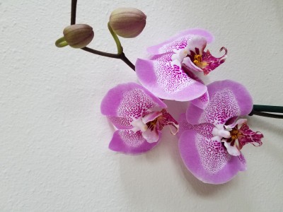 20191229_155217.jpg
