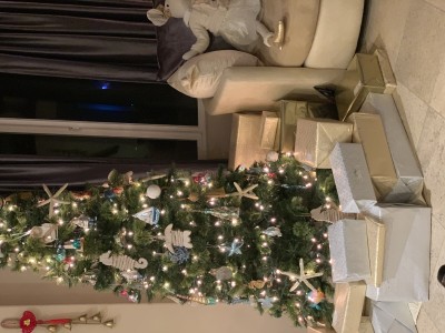 IMG_5837.jpeg