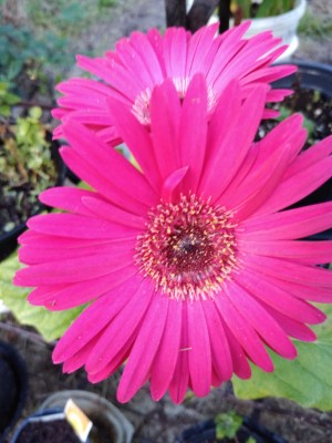 IMG_20200112_174643798.jpg