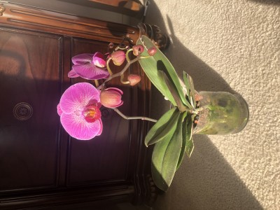 E65B0729-453E-482E-810C-ED0817C75D55.jpeg