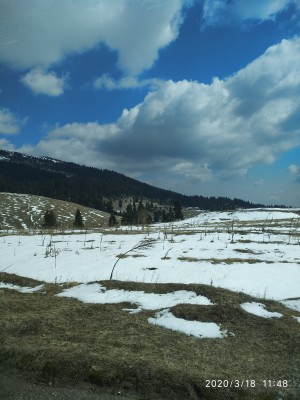 IMG_20200318_114847.jpg