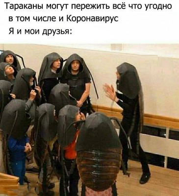 2020_2_4_tarakany-mogut-perezhit-vse-chto-ugodno-v-tom-chisle-i-koronavirus.jpg